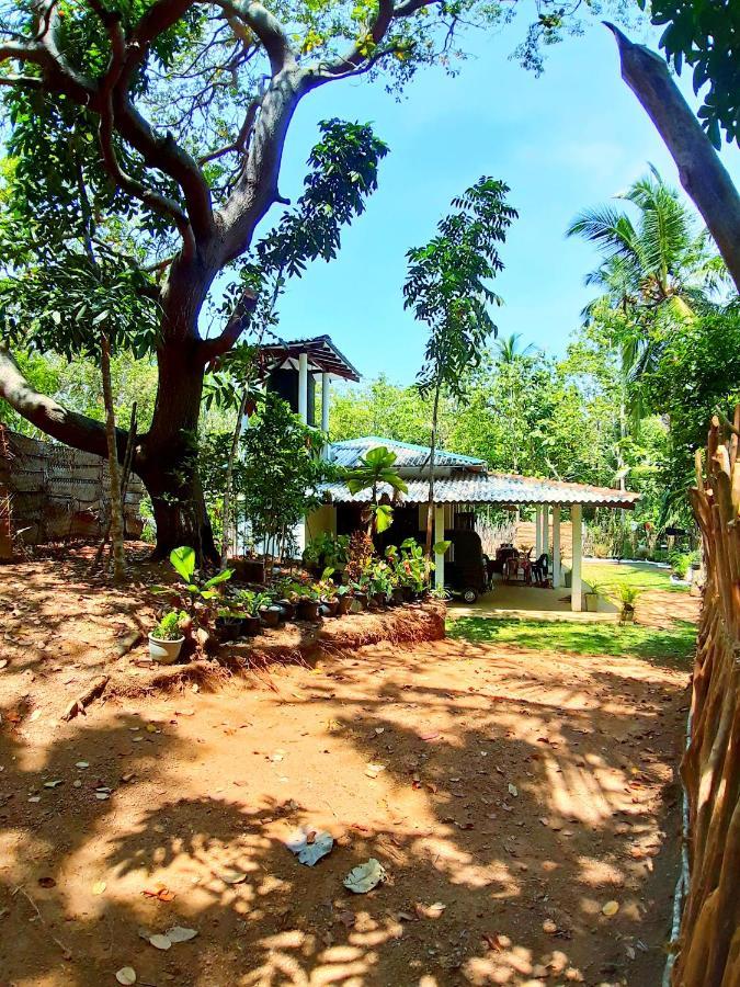 Cashew Villa Hiriketiya Диквелла Экстерьер фото
